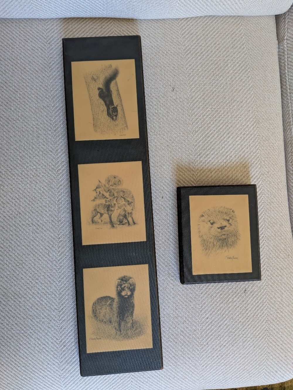 Vintage Wildlife Art